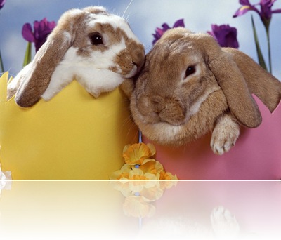 easter-wallpaper-003-1024