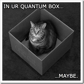 catinabox